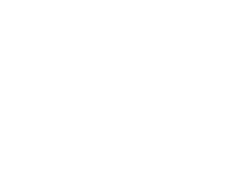 White Logo Image